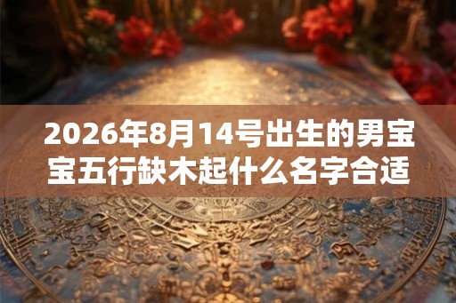 2026年8月14号出生的男宝宝五行缺木起什么名字合适