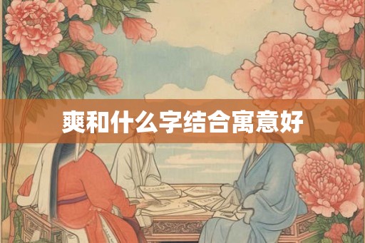 爽和什么字结合寓意好