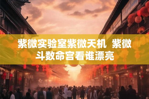 紫微实验室紫微天机  紫微斗数命宫看谁漂亮