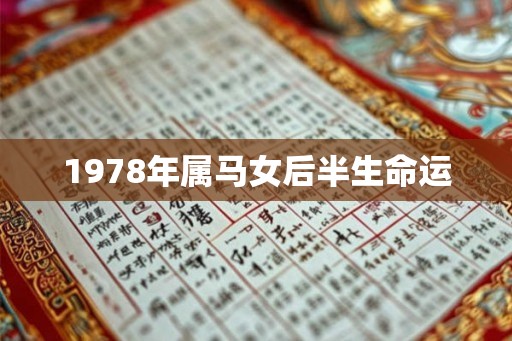 1978年属马女后半生命运 1978年属马女后半生命运
