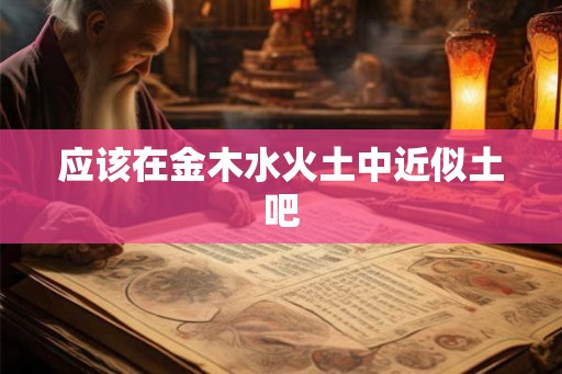 应该在金木水火土中近似土吧