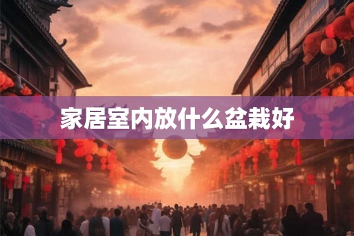 家居室内放什么盆栽好