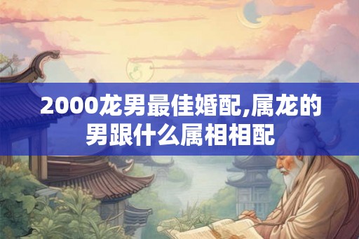 2000龙男最佳婚配,属龙的男跟什么属相相配
