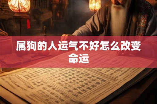 属狗的人运气不好怎么改变命运
