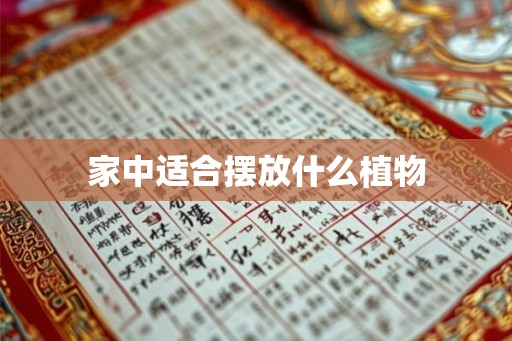 家中适合摆放什么植物