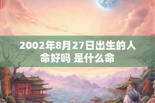 2002年8月27日出生的人命好吗 是什么命