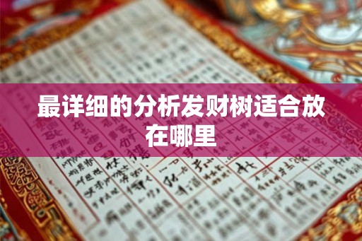 最详细的分析发财树适合放在哪里 最详细的分析发财树适合放在哪里