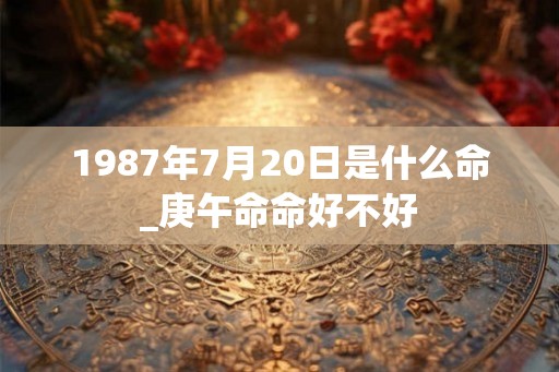 1987年7月20日是什么命_庚午命命好不好
