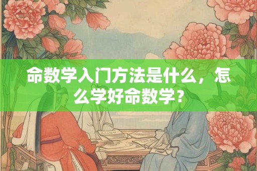 命数学入门方法是什么，怎么学好命数学？