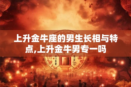 上升金牛座的男生长相与特点,上升金牛男专一吗