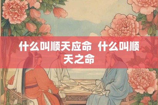 什么叫顺天应命  什么叫顺天之命