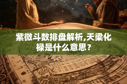 紫微斗数排盘解析,天梁化禄是什么意思? 紫微斗数排盘解析,天梁化禄是什么意思?