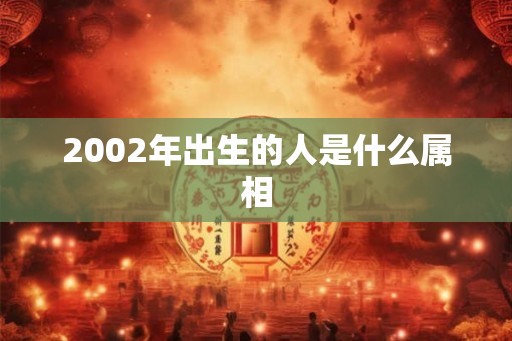 2002年出生的人是什么属相