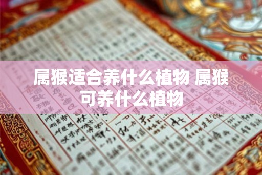 属猴适合养什么植物 属猴可养什么植物