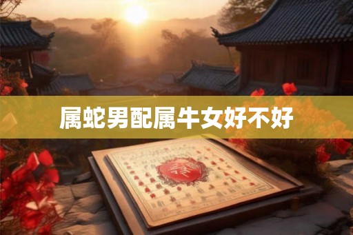 属蛇男配属牛女好不好