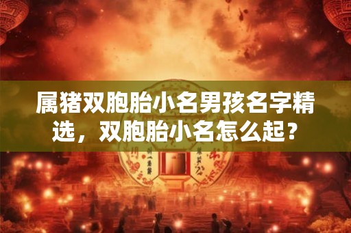 属猪双胞胎小名男孩名字精选,双胞胎小名怎么起? 属猪双胞胎小名男孩名字精选,双胞胎小名怎么起?