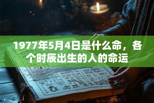 1977年5月4日是什么命，各个时辰出生的人的命运