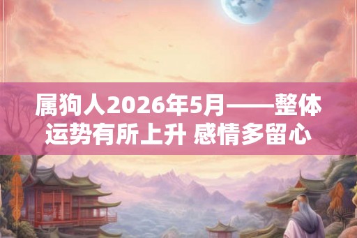 属狗人2026年5月——整体运势有所上升 感情多留心
