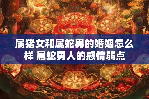 属猪女和属蛇男的婚姻怎么样 属蛇男人的感情弱点