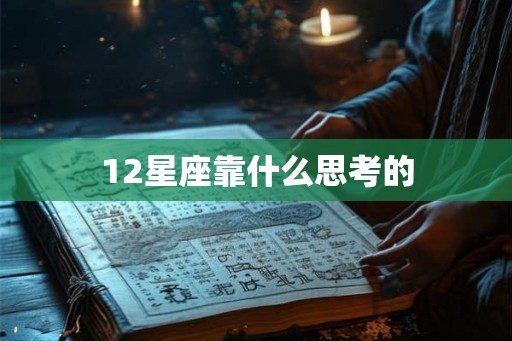 12星座靠什么思考的
