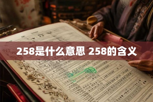258是什么意思 258的含义