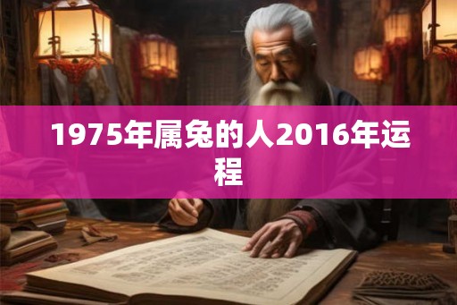 1975年属兔的人2016年运程