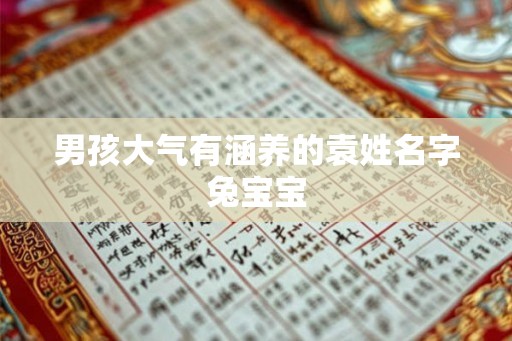 男孩大气有涵养的袁姓名字兔宝宝