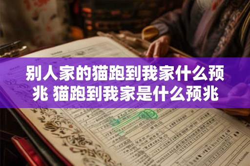 别人家的猫跑到我家什么预兆 猫跑到我家是什么预兆