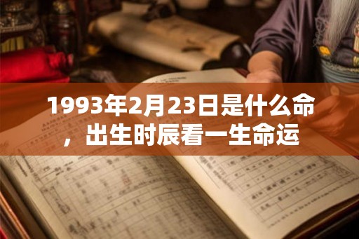 1993年2月23日是什么命，出生时辰看一生命运