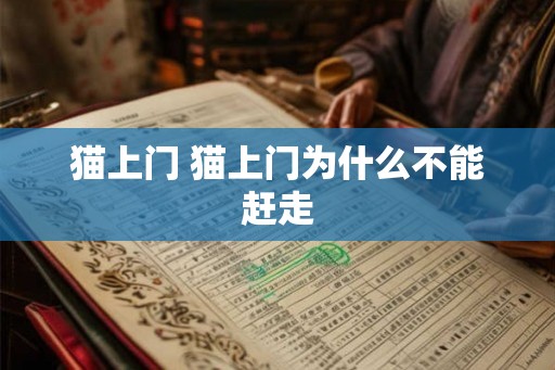 猫上门 猫上门为什么不能赶走