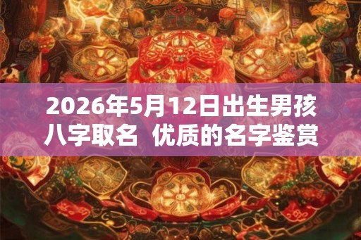 2026年5月12日出生男孩八字取名  优质的名字鉴赏