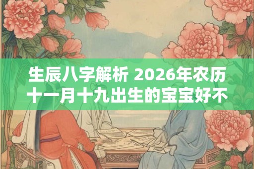 生辰八字解析 2026年农历十一月十九出生的宝宝好不好
