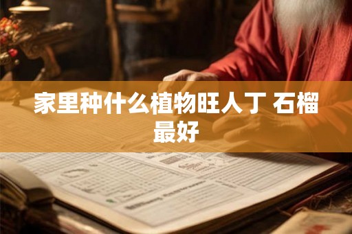 家里种什么植物旺人丁 石榴最好