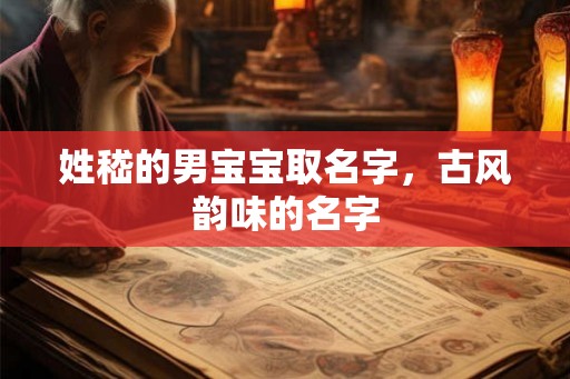 姓嵇的男宝宝取名字，古风韵味的名字