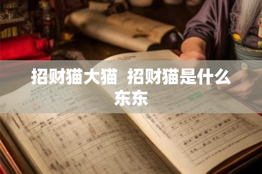 招财猫大猫 招财猫是什么东东 招财猫大猫 招财猫是什么东东