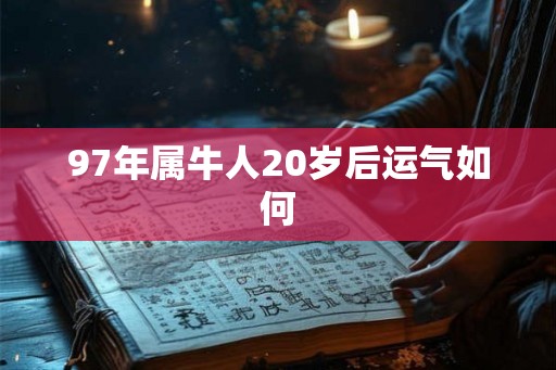97年属牛人20岁后运气如何