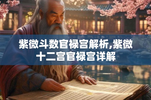 紫微斗数官禄宫解析,紫微十二宫官禄宫详解