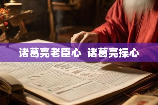 诸葛亮老臣心  诸葛亮操心
