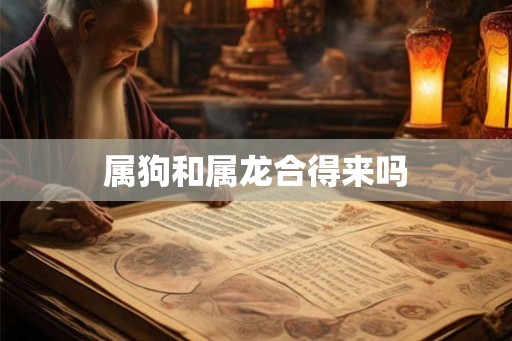 属狗和属龙合得来吗