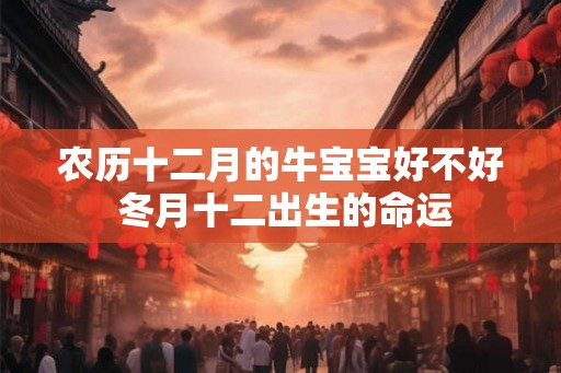 农历十二月的牛宝宝好不好 冬月十二出生的命运
