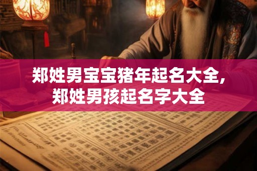 郑姓男宝宝猪年起名大全,郑姓男孩起名字大全