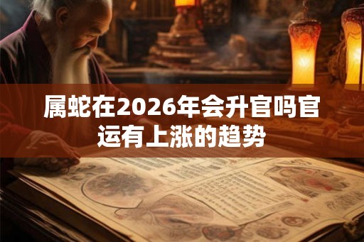 属蛇在2026年会升官吗官运有上涨的趋势