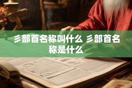 彡部首名称叫什么 彡部首名称是什么 彡部首名称叫什么 彡部首名称是什么