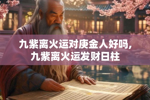 九紫离火运对庚金人好吗,九紫离火运发财日柱