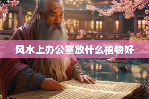 风水上办公室放什么植物好