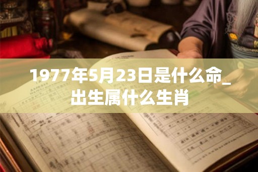1977年5月23日是什么命_出生属什么生肖