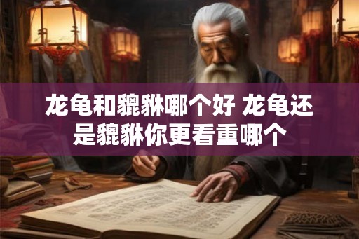 龙龟和貔貅哪个好 龙龟还是貔貅你更看重哪个
