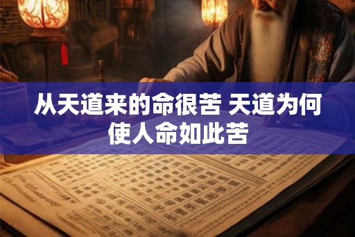 从天道来的命很苦 天道为何使人命如此苦