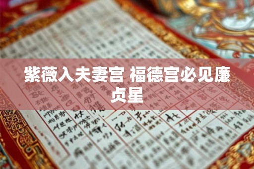 紫薇入夫妻宫 福德宫必见廉贞星