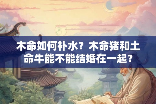 木命如何补水？木命猪和土命牛能不能结婚在一起？